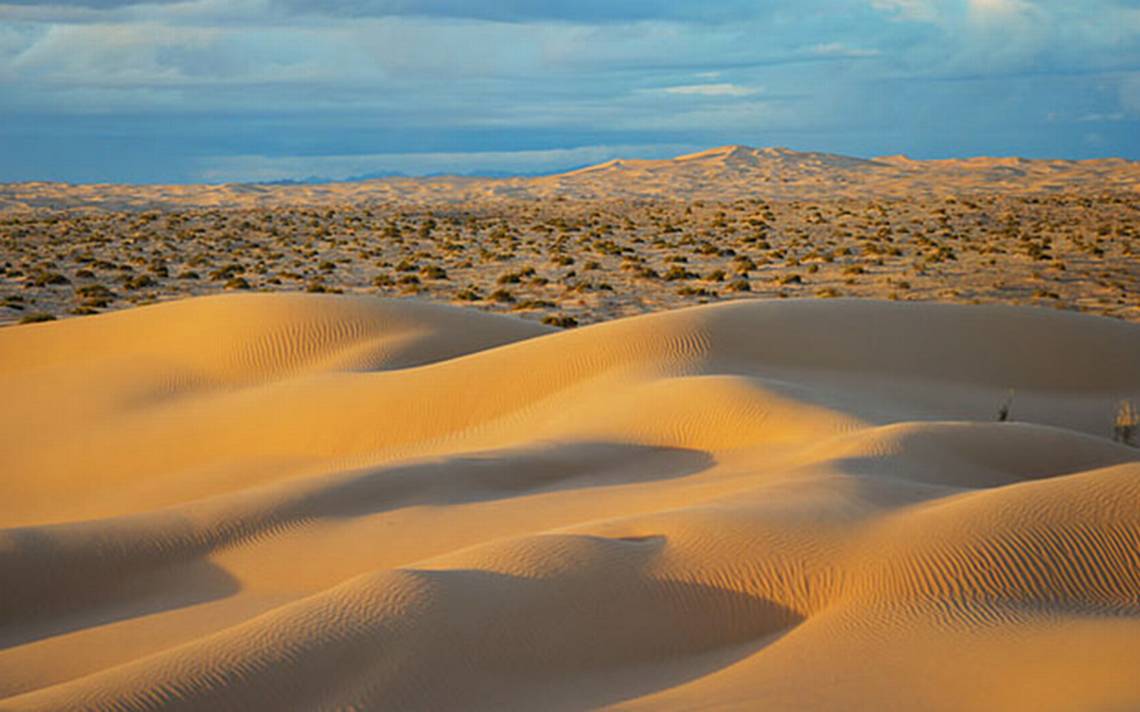 Sonora, el Gran Desierto de Altar - El Sudcaliforniano | Noticias